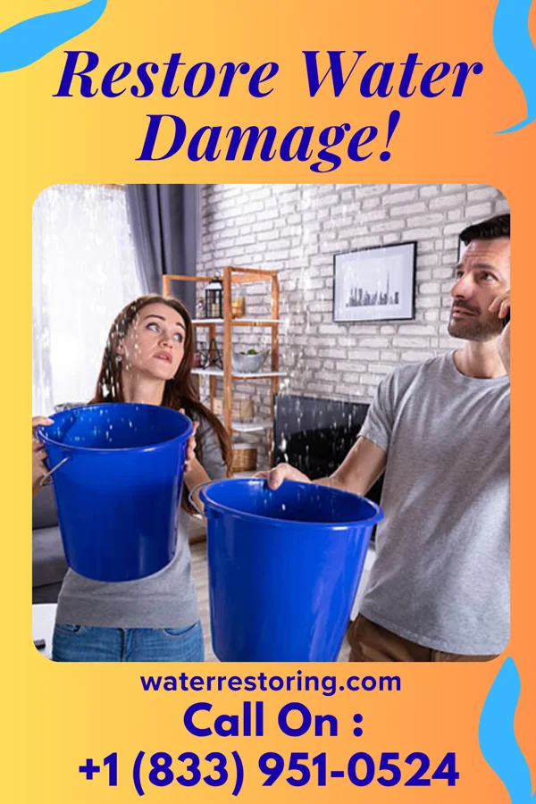 water restoration Sentinel Water Mitigation Force Grand Haven