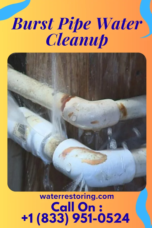 Burst Pipe Water Cleanup in Grand Haven, MI