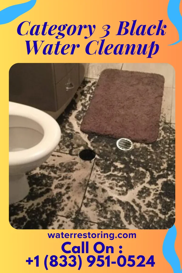 Category 3 Black Water Cleanup in Grand Haven, MI