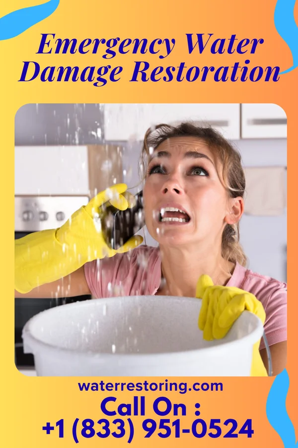 Emergency Water Damage Restoration in Grand Haven, MI